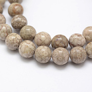 Natural Fossil Coral Beads Strands, Round, 8mm, Hole: 1mm, about 48pcs/strand, 15.3 inch(39cm)(G-G735-52-8mm)