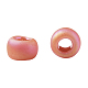 Toho perles de rocaille rondes(SEED-XTR08-0410F)-3