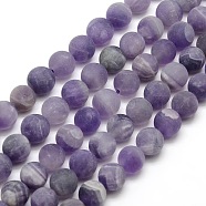 Frosted Natural Amethyst Round Bead Strands, 12mm, Hole: 1mm, about 30~32pcs/strand, 14.9~15.6 inch(G-M064-12mm-13)
