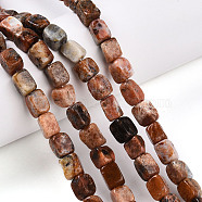 Natural Brecciated Jasper Beads Strands, Cuboid, 5~8x5~6x5~6mm, Hole: 1mm, about 51pcs/strand, 14.96~15.16''(38~38.5cm)(G-T141-30)