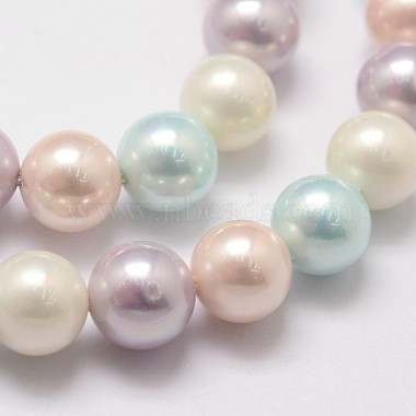 Polished Shell Pearl Bead Strands(X-BSHE-F013-07A)-3