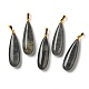 Natural Labradorite Pendants(G-Q192-07G-06)-1