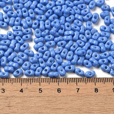 Baking Paint Glass Seed Beads(SEED-K009-01A-19)-4