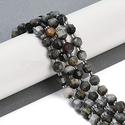 Natural Eagle Eye Stone Beads Strands, Faceted, Bicone, Double Terminated Point Prism Beads, 10x9mm, Hole: 1.2mm, about 38pcs/strand, 15.08''(38.3cm)(G-O201B-124G)