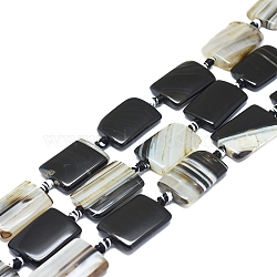 Natural Banded Agate/Striped Agate Beads Strands, Dyed & Heated, Rectangle, Black, 19~21x14~16x5~7mm, Hole: 1.8mm, about 15pcs/strand, 14.96 inch(38cm)(G-L544-043)