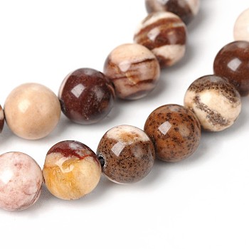 Natural Zebra Jasper Round Bead Strands, 10mm, Hole: 1mm, about 38pcs/strand, 15.5 inch