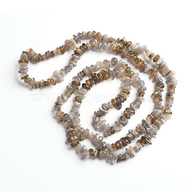 Natural Labradorite Chips Beads Strands(G-D0002-A06)-2