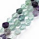 Natural Fluorite Beads Strands(G-S376-001B)-1