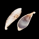 Natural Shell Big Pendants(SH-CBA93AD-18)-2
