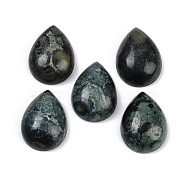 Natural Kambaba Jasper Cabochons, Teardrop, 20~20.5x15~15.5x6.5~7mm(G-H094-01A-29)