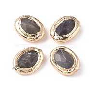 Natural Labradorite Beads, with Golden Plated Brass Edge, Faceted, Oval, 19~19.5x15~15.5x6~6.5mm, Hole: 0.8mm(G-I277-11A)