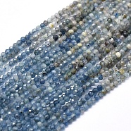 Natural Kyanite/Cyanite/Disthene Beads Strands, Gradient Color, Gradient Style, Round, Faceted, 2.5mm, Hole: 0.5mm, about 179pcs/strand, 14.96 inch(38cm)(G-D0013-06A)