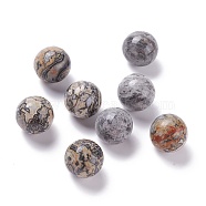 Natural Map Stone Beads, No Hole/Undrilled, for Wire Wrapped Pendant Making, Round, 20mm(G-D456-01)
