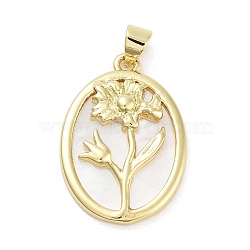 Rack Plating Brass Pave Shell Pendants, Oval with Flower Charms, Long-Lasting Plated, Lead Free & Cadmium Free, Real 18K Gold Plated, 25x17.5x3mm, Hole: 5x3.5mm(KK-Z064-28G-012)