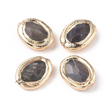 Natural Labradorite Beads, with Golden Plated Brass Edge, Faceted, Oval, 19~19.5x15~15.5x6~6.5mm, Hole: 0.8mm