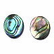 Natural Abalone Shell/Paua Shell Cabochons(SSHEL-N034-118)-3