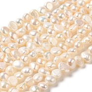 Natural Keshi Pearl Beads Strands, Cultured Freshwater Pearl Baroque Pearls, Grade 3A, Two Sides Polished, PapayaWhip, 5~5.5x5.5~7x3~4mm, Hole: 0.5mm, about 66pcs/strand, 13.54~13.66 inch(34.4~34.7cm)(PEAR-E017-28)