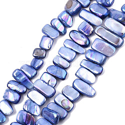 Natural Freshwater Shell Beads Strands, AB Color, Dyed, Nugget Stick, Royal Blue, 8~25x6~10x2~6mm, Hole: 0.5mm, about 46~49pcs/strand, 13.98 inch~14.56 inch(35.5~37cm)(SHEL-N026-123G)