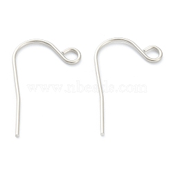 Tarnish Resistant 316 Surgical Stainless Steel Earring Hooks, Ear Wire, with Horizontal Loop, Stainless Steel Color, 21mm, 21 Gauge(0.7mm), Hole:2mm(STAS-M288-01P-B)