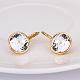 Real 18K Gold Plated Tin Alloy Cubic Zirconia Leverback Earrings(EJEW-BB09658-G)-2