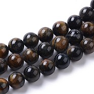 Grade AB Natural Blue Tiger Eye Beads Strands, Round, 10mm, Hole: 1.4mm, about 42pcs/strand, 15.55 inch(39.5cm)(G-I261-D01-10mm)