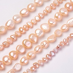 Natural Cultured Freshwater Pearl Beads Strands, Two Sides Polished, PeachPuff, 4~15x4~15mm, Hole: 0.5~1mm, about 24~95pcs/strand, 14.3 inch~14.9 inch(36.5~38cm)(PEAR-L021-19A-01)