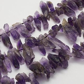 Rough Raw Natural Amethyst Beads Strands, Nuggets, 13~33x6~12x5~10mm, Hole: 1mm, 15.3 inch(38.9cm)