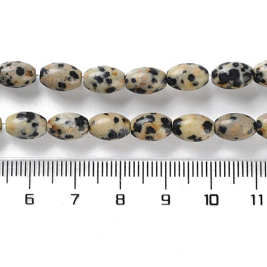 Natural Dalmatian Jasper Beads Strands(G-I369-B03-01)-5