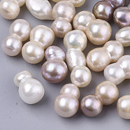 Natural Cultured Freshwater Pearl, No Hole/Undrilled, Seashell Color, 14.5~17x7.5~10mm(PEAR-T005-01B-01)
