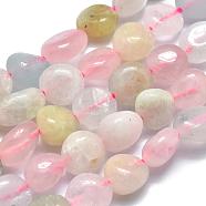 Natural Morganite Beads Strands, Tumbled Stone, Nuggets, 10~11x7~8x5~6mm, Hole: 0.8mm, about 37pcs/Strand, 15.75 inch(40cm)(X-G-O186-B-03)
