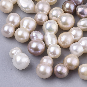 Natural Cultured Freshwater Pearl, No Hole/Undrilled, Seashell Color, 14.5~17x7.5~10mm