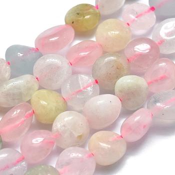 Natural Morganite Beads Strands, Tumbled Stone, Nuggets, 10~11x7~8x5~6mm, Hole: 0.8mm, about 37pcs/Strand, 15.75 inch(40cm)