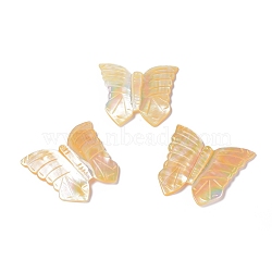 Natural Yellow Shell Cabochons, Carved, Butterfly, 46x45x2mm(SSHEL-L016-009)