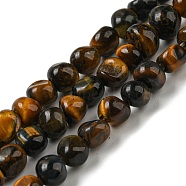 Natural Tiger Eye Bead Strands, Tumbled Stone, Nuggets, 3~7.5x4.5~6x3~6mm, Hole: 1mm, about 61~66pcs/strand, 15.16''~15.35''(38.5~39cm)(G-F465-61)