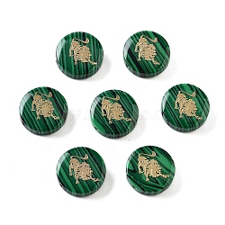 Synthetic Malachite Beads, with Golden Tone Brass Slices, Flat Round with Constellations, Leo, 15x4mm, Hole: 1mm(G-F775-D03)