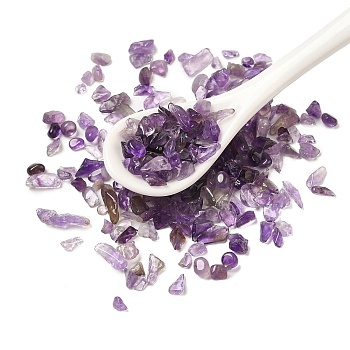 Natural Amethyst Chip Beads, No Hole/Undrilled, 3~6x2~4x0.5~3mm, about 20000pcs/1000g