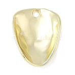 Alloy Pendants, Rack Plating, Golden, 29x22x7mm, Hole: 2.7mm(FIND-L025-17G)
