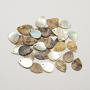 Flat Teardrop Natural Akoya Shell Charms, Mother of Pearl Shell Pendants, Tan, 15.5~16x12x1~1.5mm, Hole: 1mm; about 720pcs/bag(SHEL-N031-06)