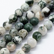 Natural Tree Agate Beads Strands, Round, 10mm, Hole: 1.2mm, about 37pcs/strand, 14.76 inch(37.5cm)(X-G-I199-03-10mm)