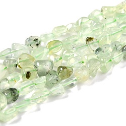 Natural Prehnite Beads Strands, Nuggets, Tumbled Stone, 5~8.5x5.5~7x3.5~4mm, Hole: 0.7mm, about 64pcs/strand, 16.34 inch(41.5cm)(G-G018-64)