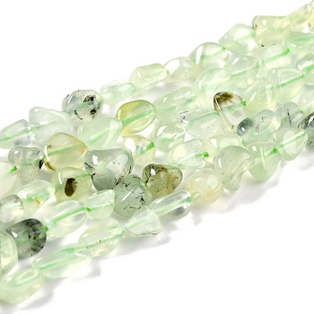 Natural Prehnite Beads Strands, Nuggets, Tumbled Stone, 5~8.5x5.5~7x3.5~4mm, Hole: 0.7mm, about 60~66pcs/strand, 13.8 inch(35cm)