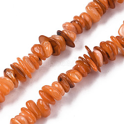 Natural Freshwater Shell Beads Strands, Dyed, Chips, Coral, 0.4~4x6.5~20x4.5~8.5mm, Hole: 0.7~0.8mm, about 301~340pcs/strand, 30.94 inch~32.36 inch(78.6cm~82.2cm)(SHEL-S278-071B)
