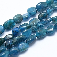 Natural Apatite Beads Strands, Grade A, Nuggets, 6~8mm, Hole: 0.8mm, about 45~47pcs/strand, 15.7 inch(40cm)(X-G-E483-41A)