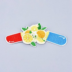 Computerized Embroidery Cloth Sew on Patches, Costume Accessories, Lemon, Mixed Color, 164x70x1.5mm(DIY-M006-33)