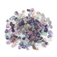 Natural Fluorite Beads, No Hole/Undrilled, Nuggets, Tumbled Stone, Vase Filler Gems, 6~16x6~10x3~8mm(X-G-F710-11)