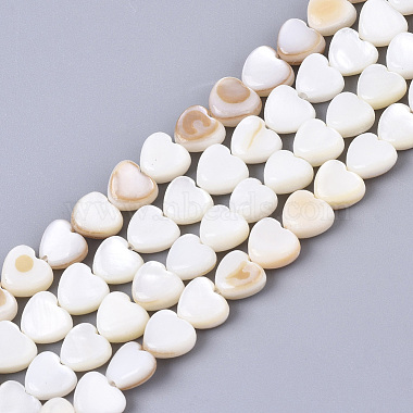 Heart Trochus Shell Beads