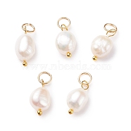 Grade B Natural Cultured Freshwater Pearl Charms, with 304 Stainless Steel Jump Rings, Polished Rice, Golden, 13.5~15x7~7.5x5~6mm, Hole: 3.6mm(PALLOY-JF01497-01)