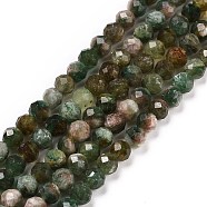 Natural Fuchsite Beads Strands, Faceted, Round, 4mm, Hole: 0.7mm, about 93~94pcs/strand, 15.35~15.55 inch(39~39.5cm)(G-C009-A02)