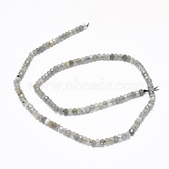 Natural Labradorite Beads Strands, Faceted, Rondelle, 3.5~4x2~2.5mm, Hole: 0.7mm, about 43pcs/strand, 15.5 inch(39.5cm)(G-F632-22A)