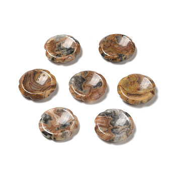 Natural Crazy Agate Worry Stones, Flower Shape, 37.5~38x38x7~7.5mm